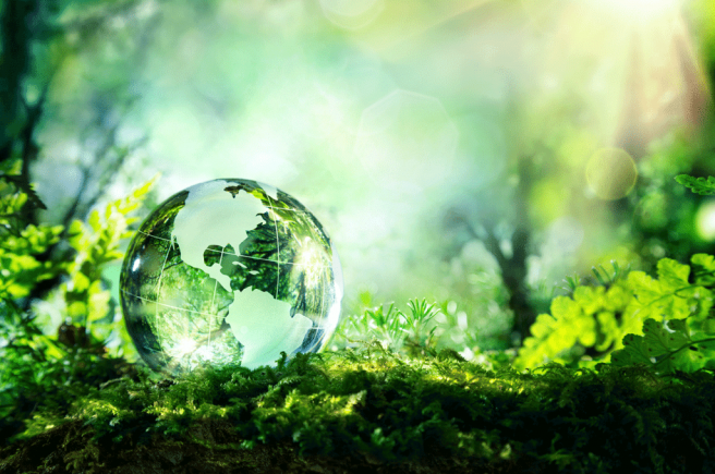 Día Mundial del Medio Ambiente 1024x678